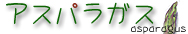 �A�X�p���K�X
������������������������
McStay�̕ʃT�C�g�B
������ɂ��ʐ^����܂��B